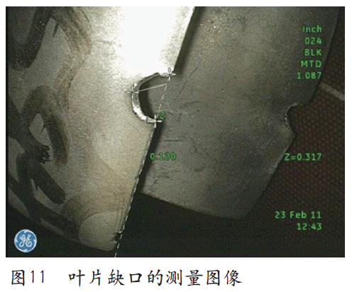 叶片缺口的测量图像