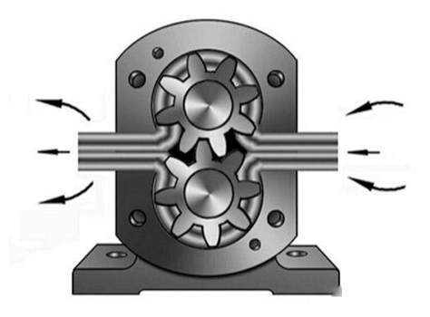 齿轮泵示意图