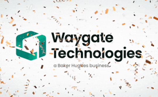 工业内窥镜厂家Waygate Technologies介绍