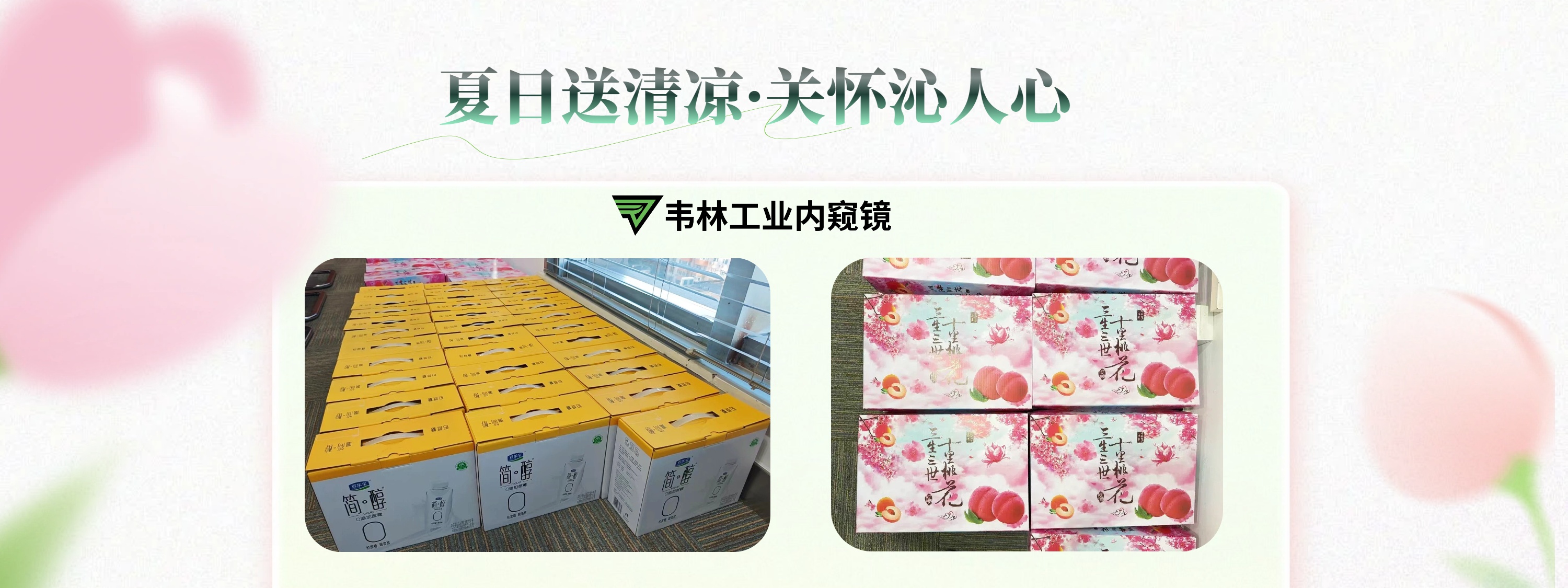 韦林(Everest)工业视频内窥镜-降温福利